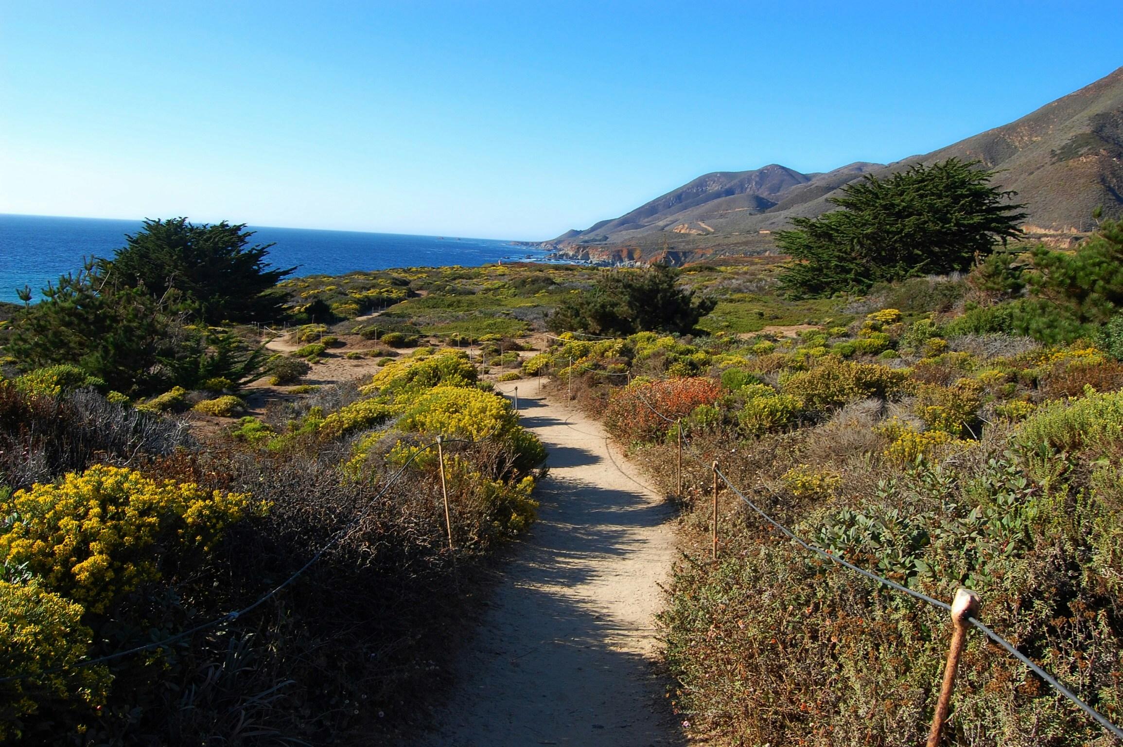 Laguna Coast Wilderness Park trail through coastal sage scrub with ocean views
