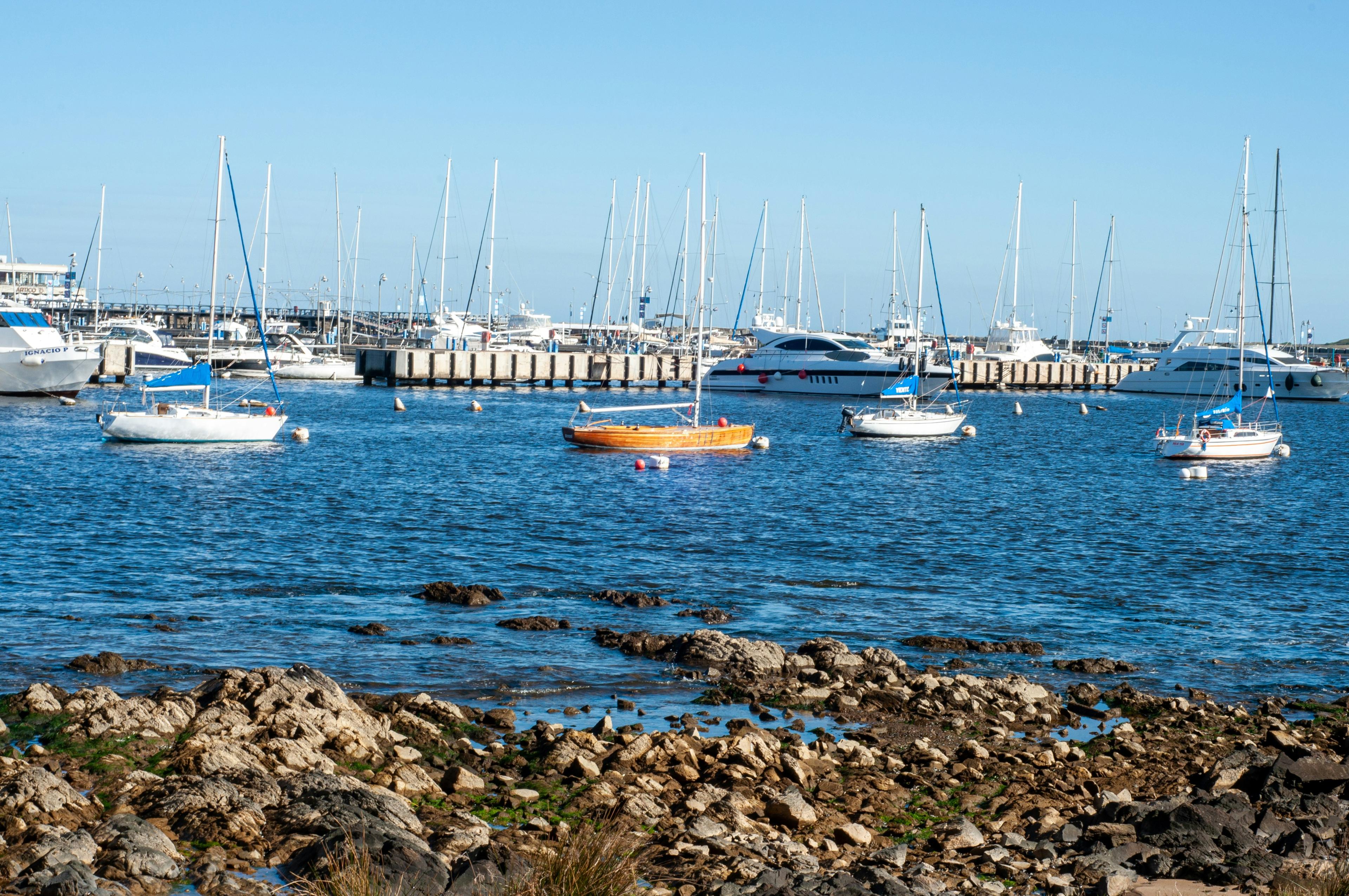 Newport Harbor Yacht Club with sailboats moored in the harbor on a sunny afternoon