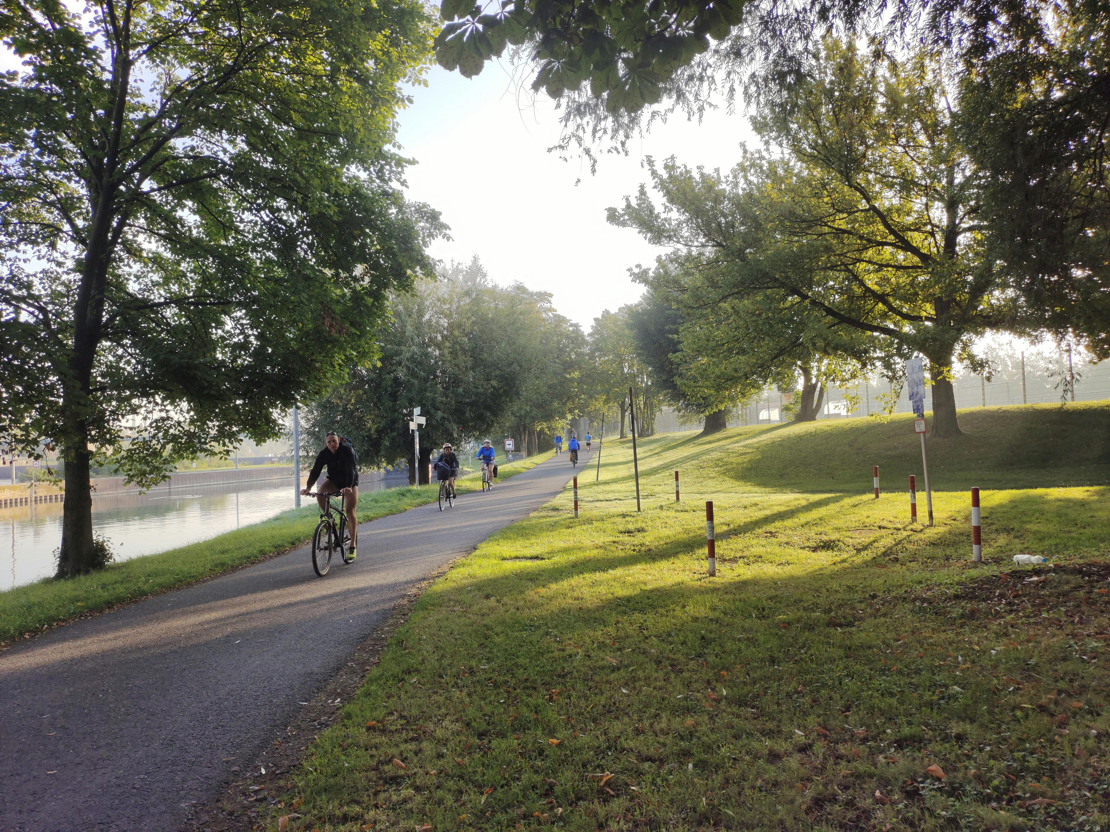 Cyclists on the Back Bay loop trail with wetlands and birds in the background